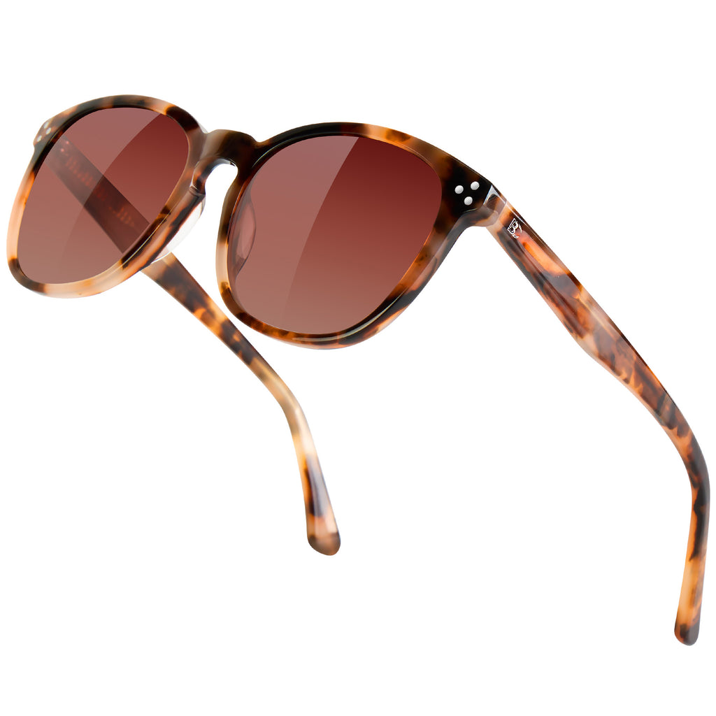 Bircen Acetate Sunglasses For Women BC2110